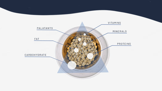 Pet Nutritional Requirements Facts