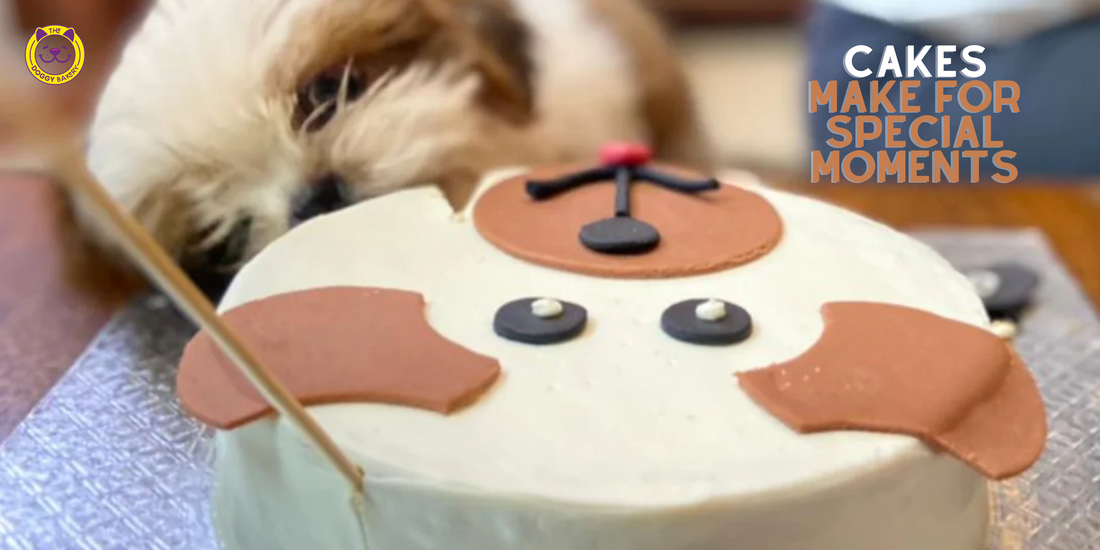 Can Dogs Eat Cake?