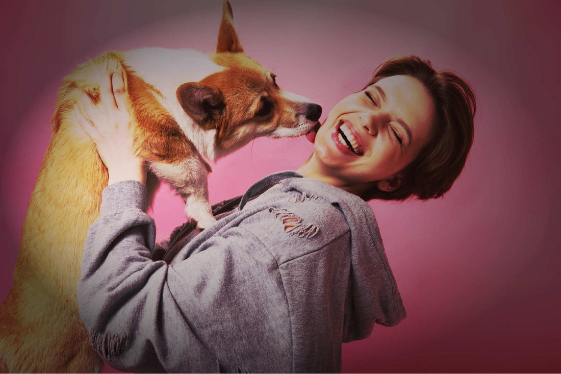 Christmas Cheer and Tail Wags: Celebrating the Holidays with The Doggy Bakery