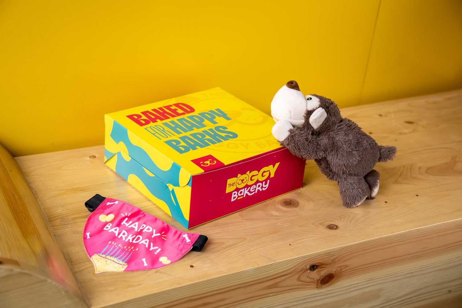 Dog Cake Party Box
