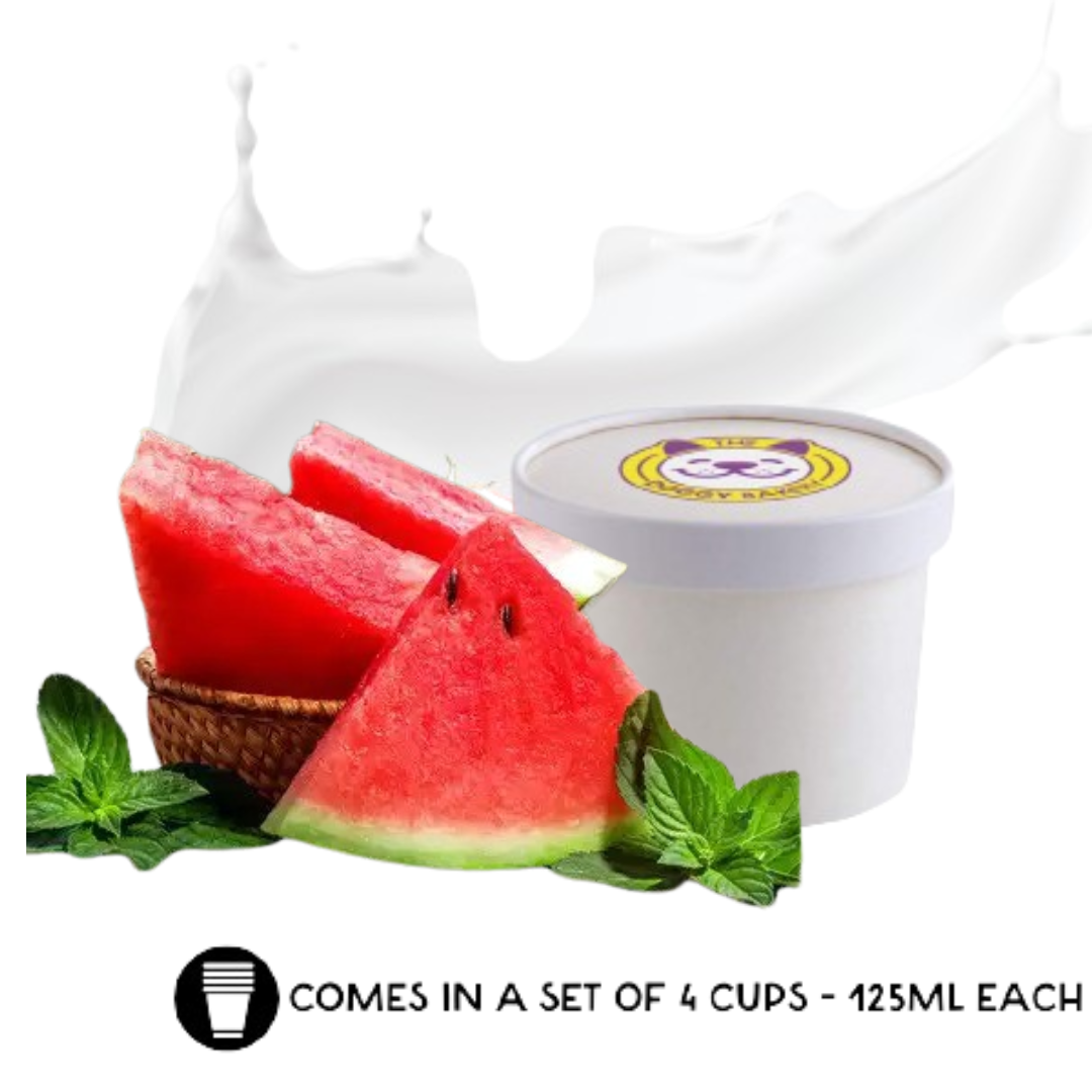 Watermelon Fro-Yo