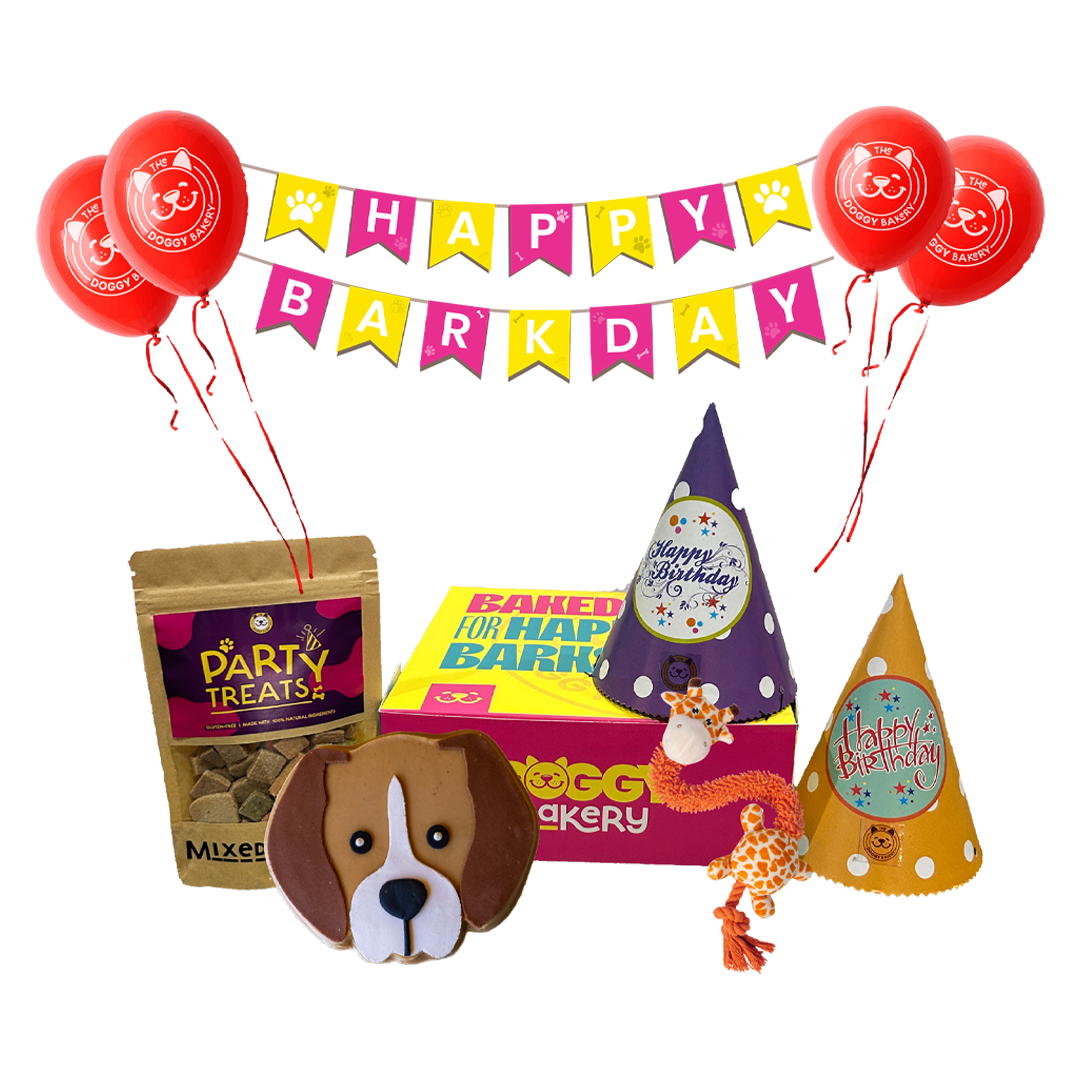 Breed Birthday Cake Hamper w/ Toy