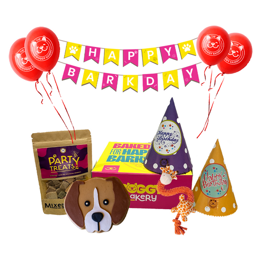 Breed Birthday Cake Hamper w/ Toy