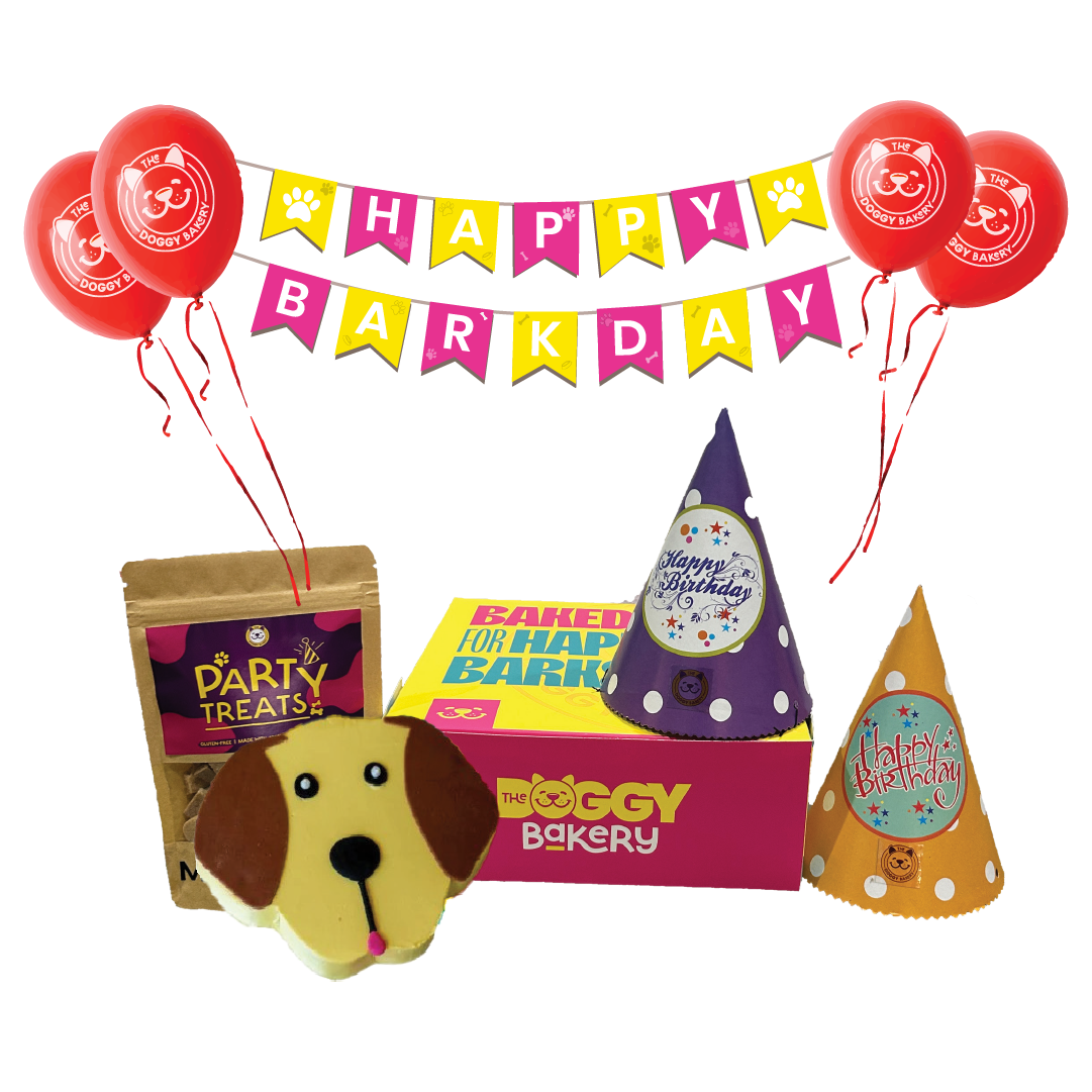 Breed Cake Party Box