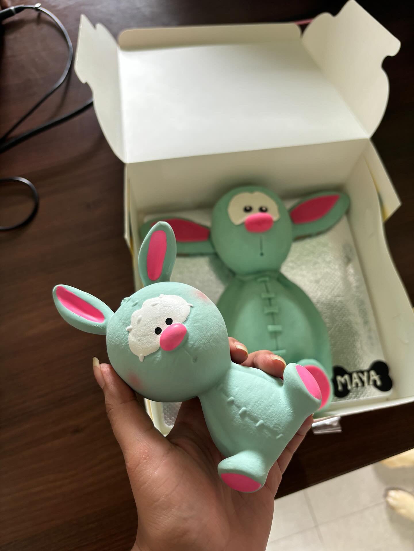 Maya's Toy