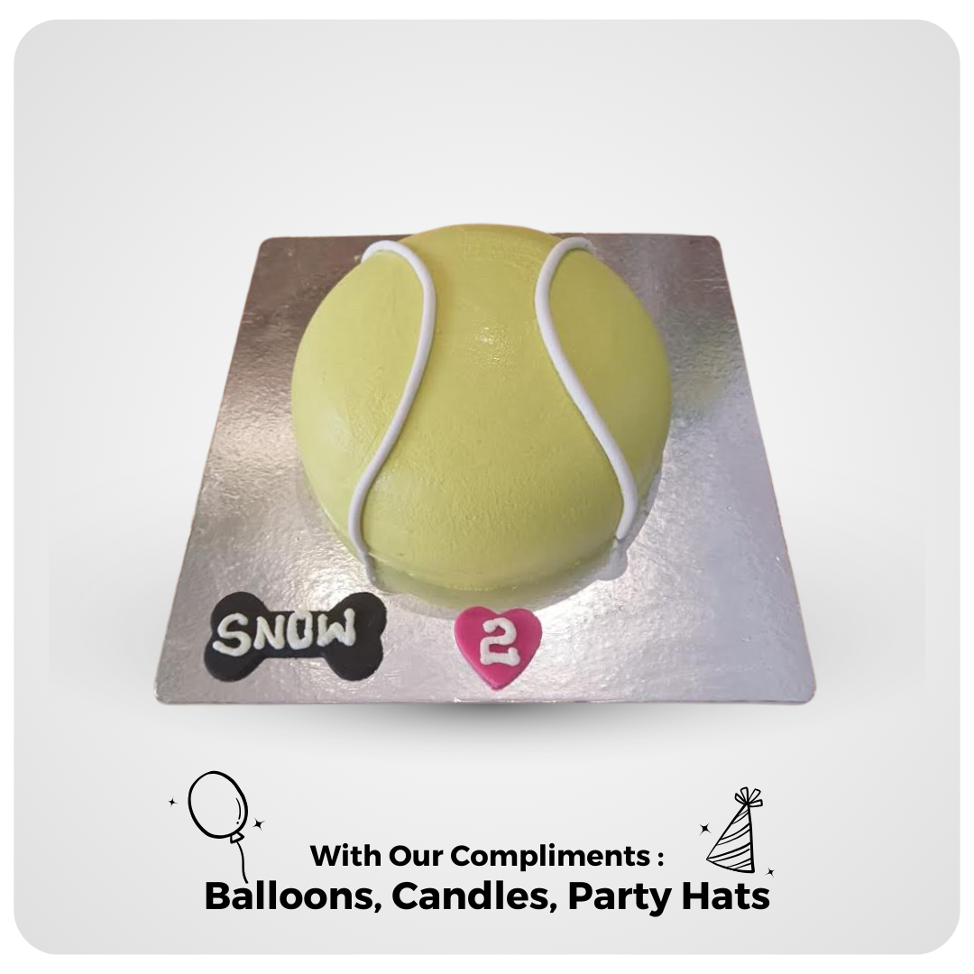 Fetchin' Ball Cake