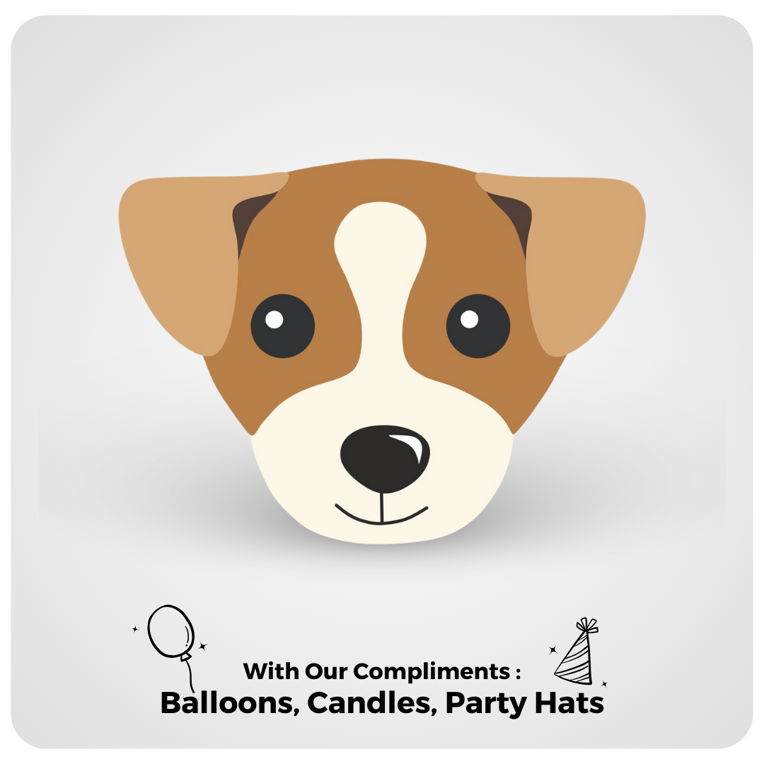 Jack Russel