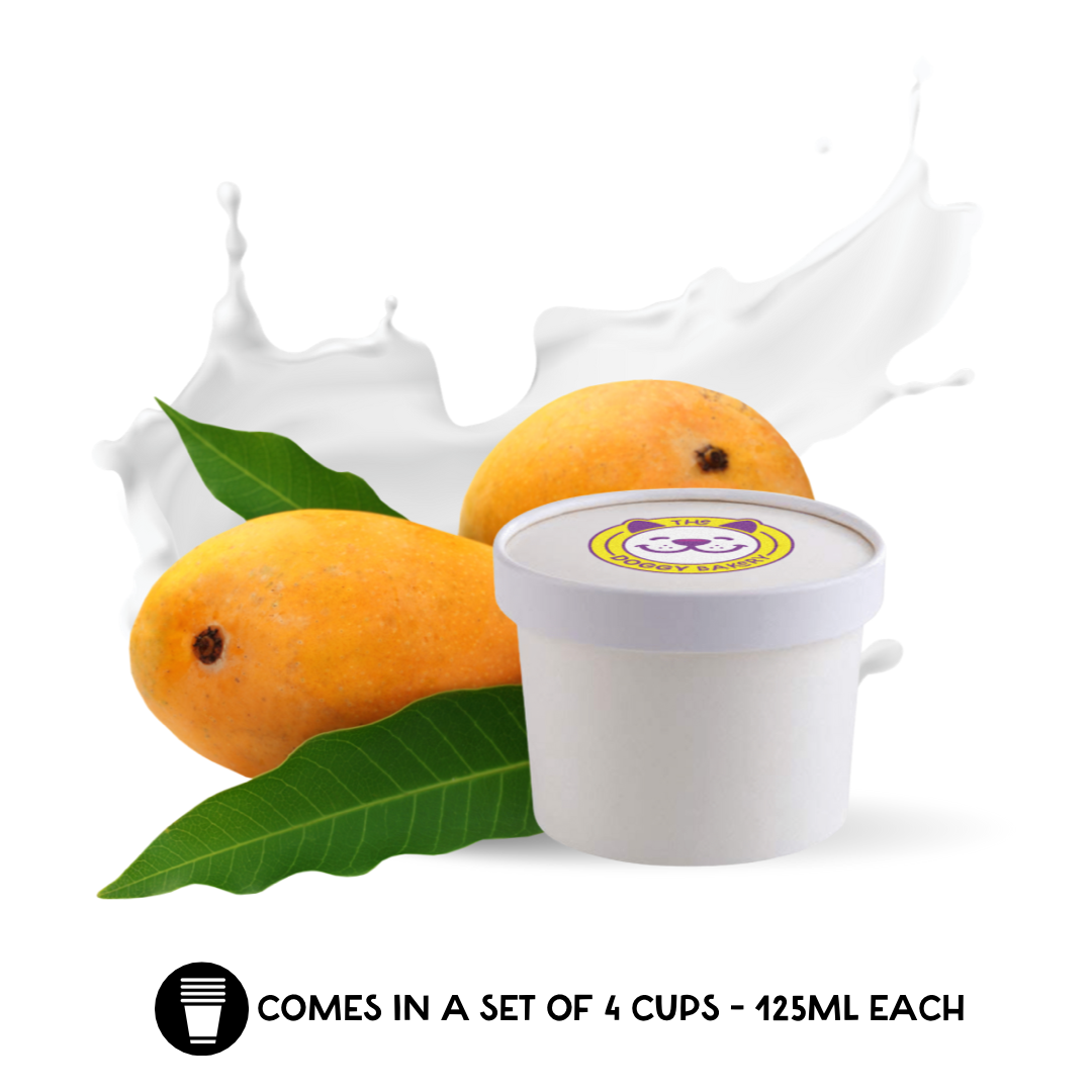 Mango Fro-Yo