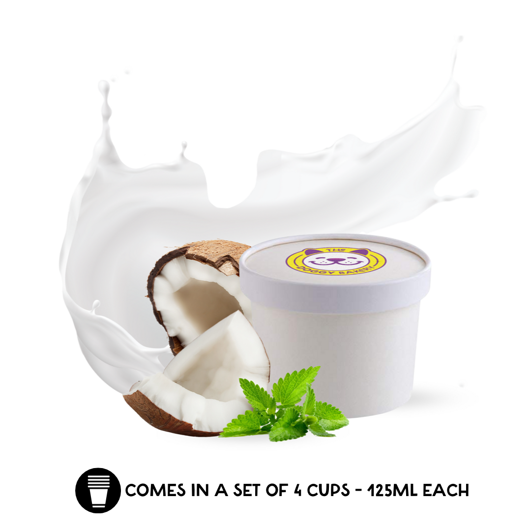 Mint & Coconut Fro-Yo