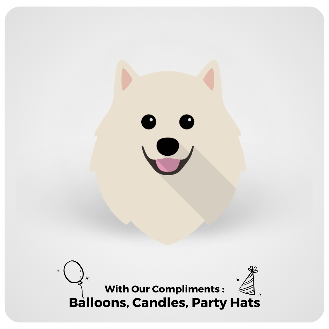 Pomeranian