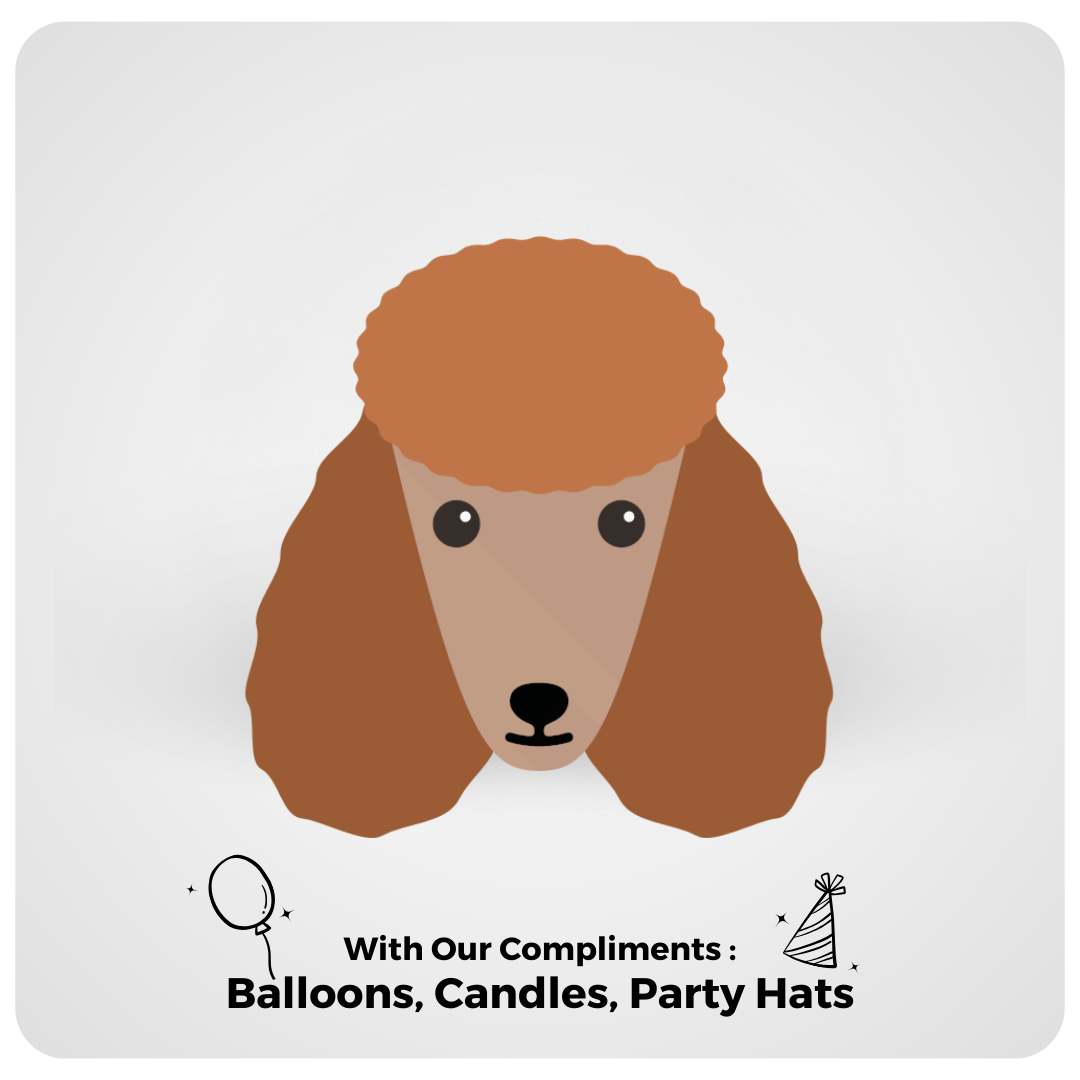 Poodle