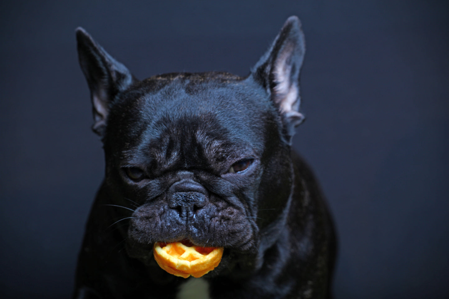 Woofles