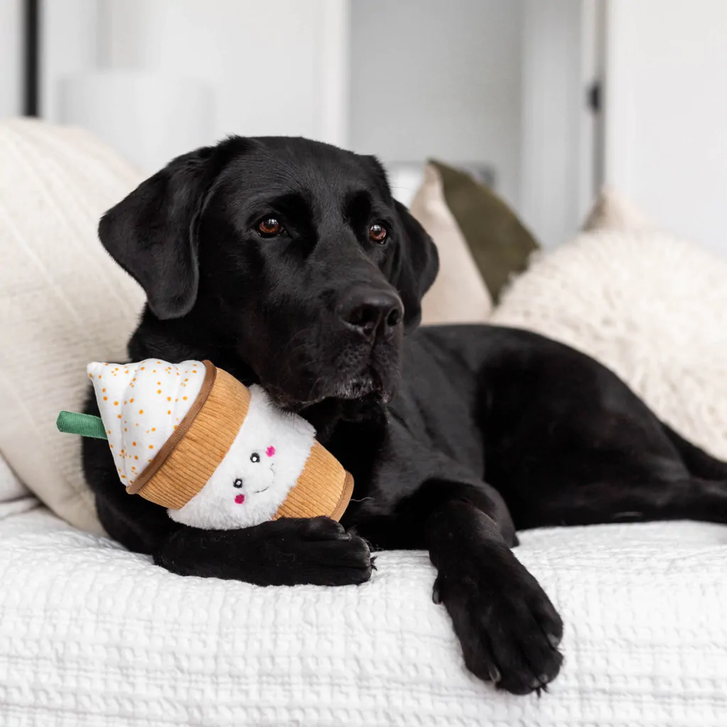 Puppuccino Toy