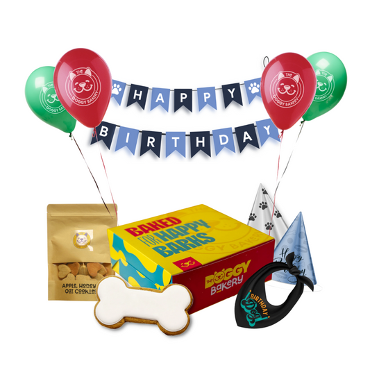 Dog Birthday Cake Hamper w/ Bandana