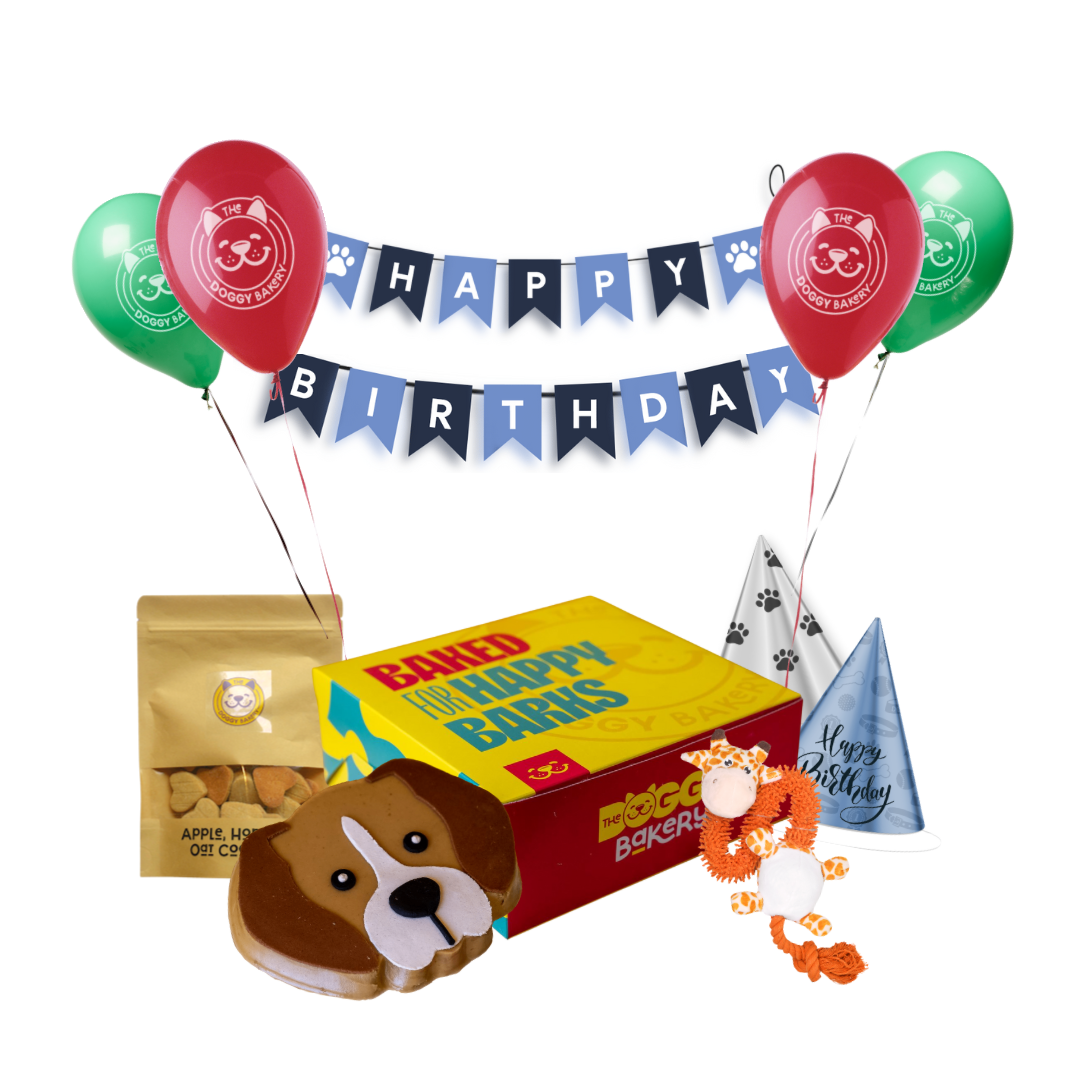 Custom Breed Birthday Cake Hamper w/ Toy