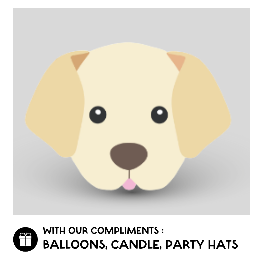 Custom Labrador Dog Cake – The Doggy Bakery