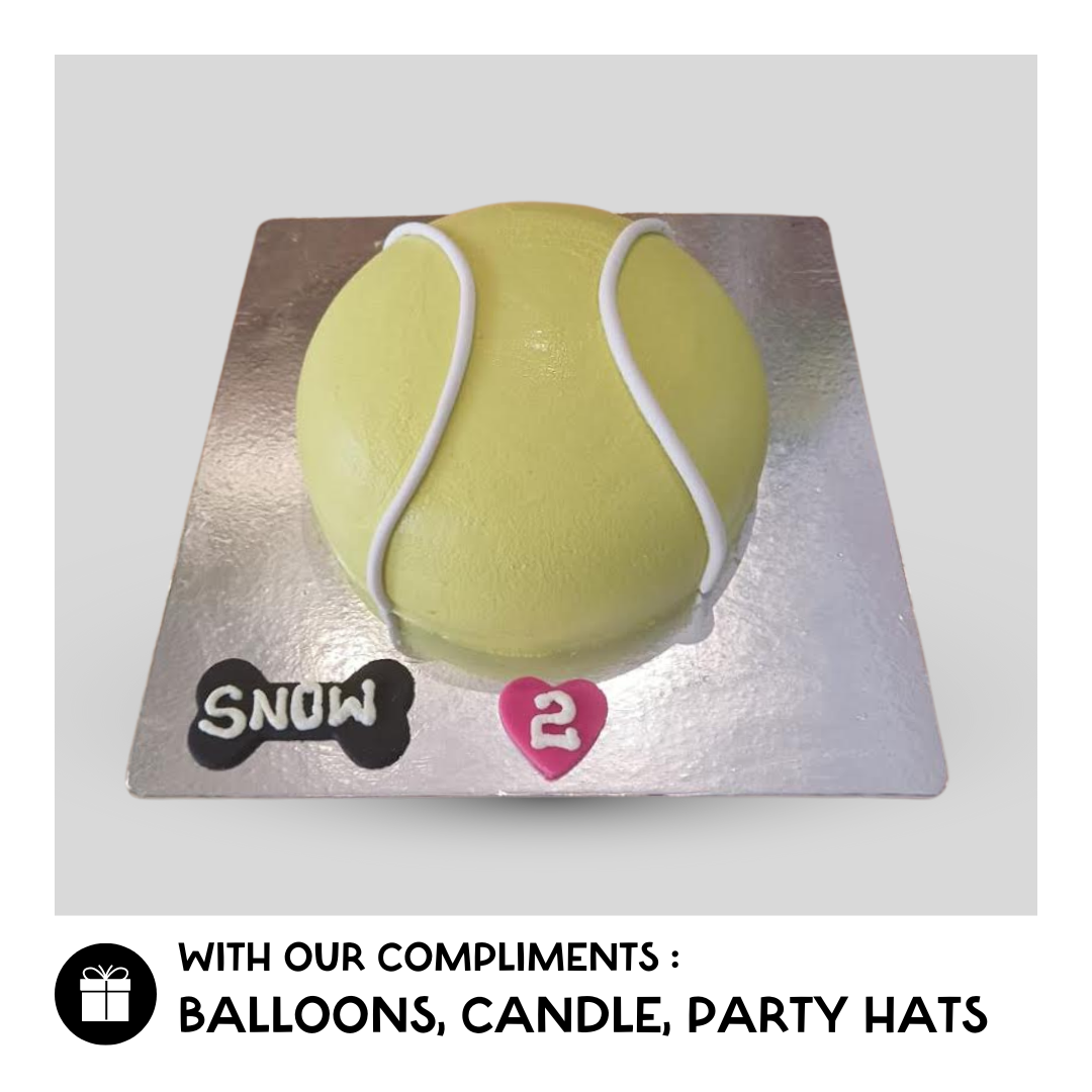 Fetchin' Ball Cake