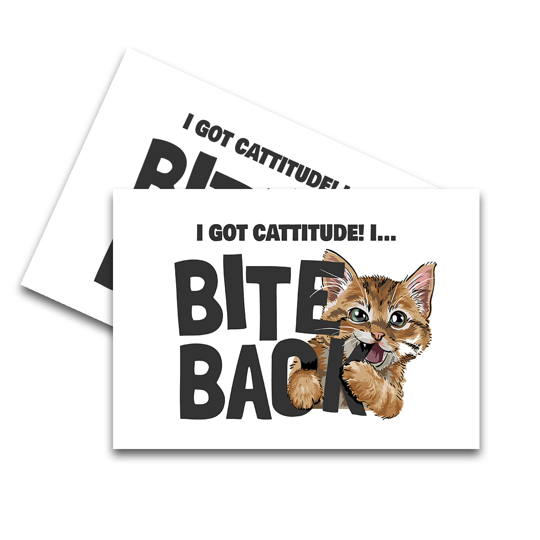 Cattitude Feeding Mat