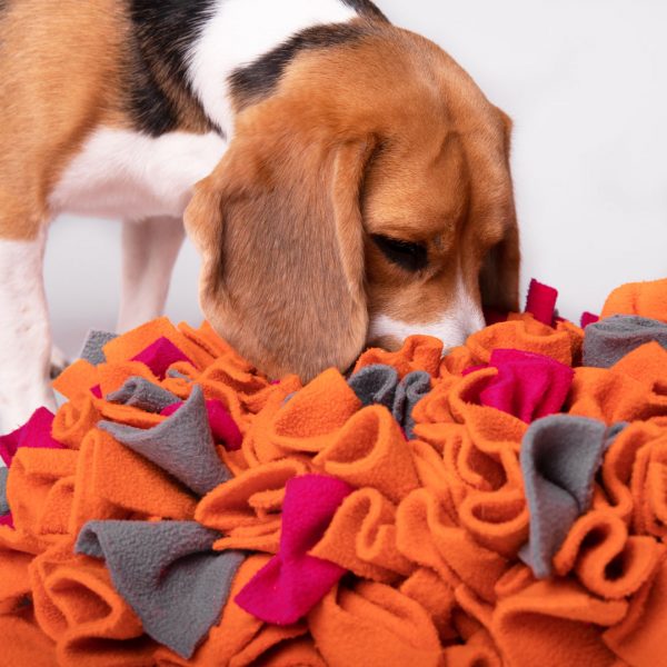 Sniffer Mat