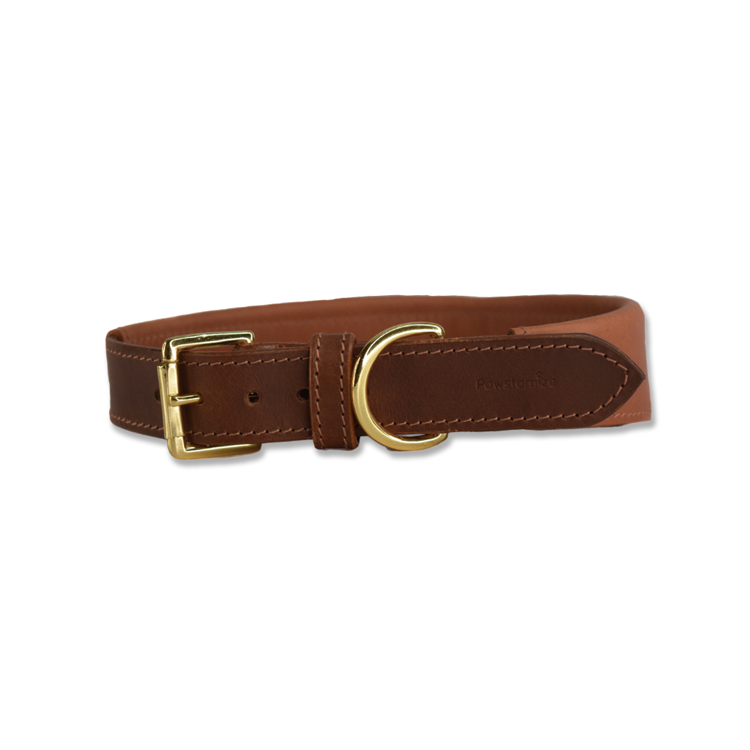 Suit Up Collar