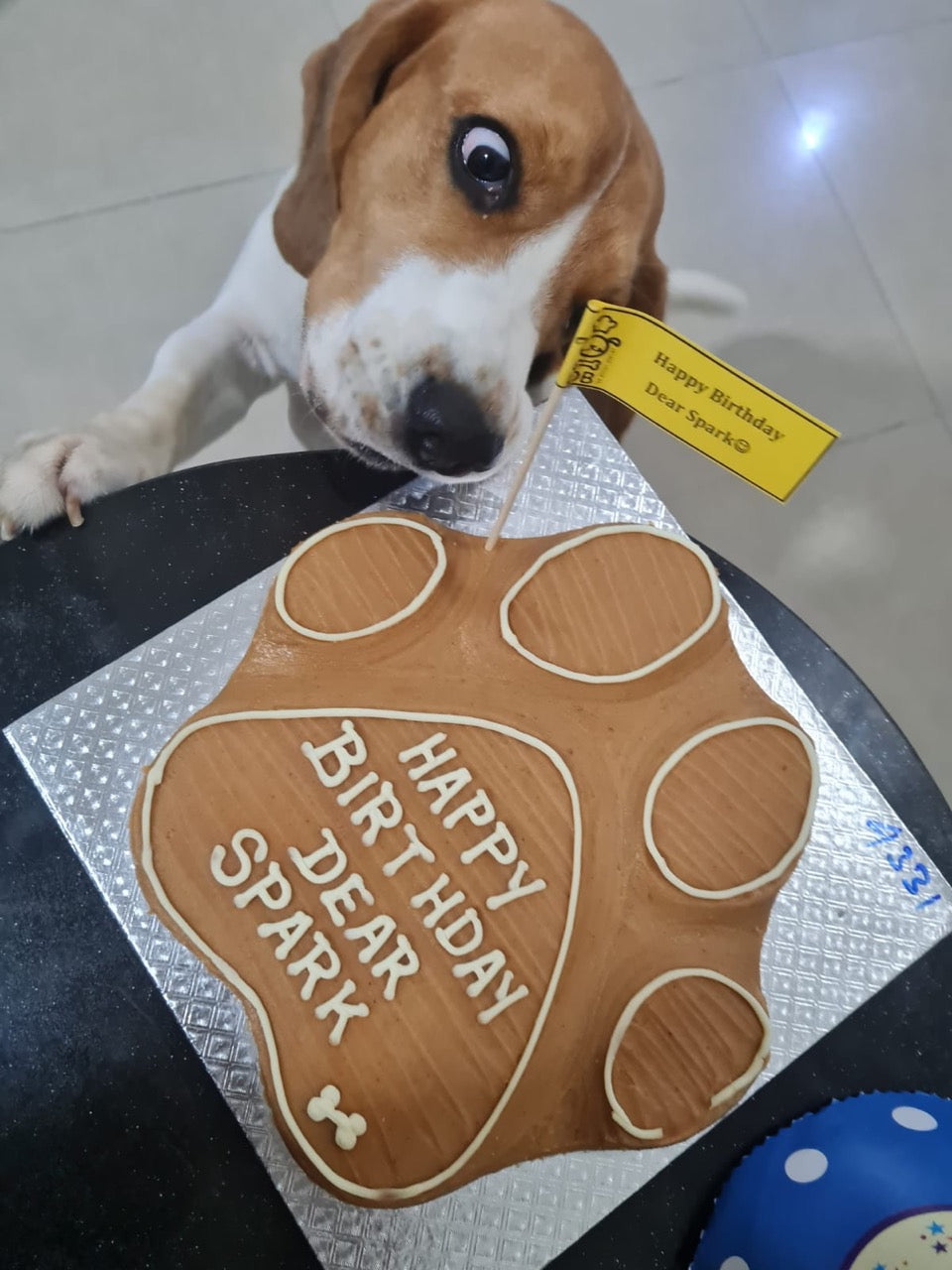 Dog enjoying a Gluten Free Dog Cake