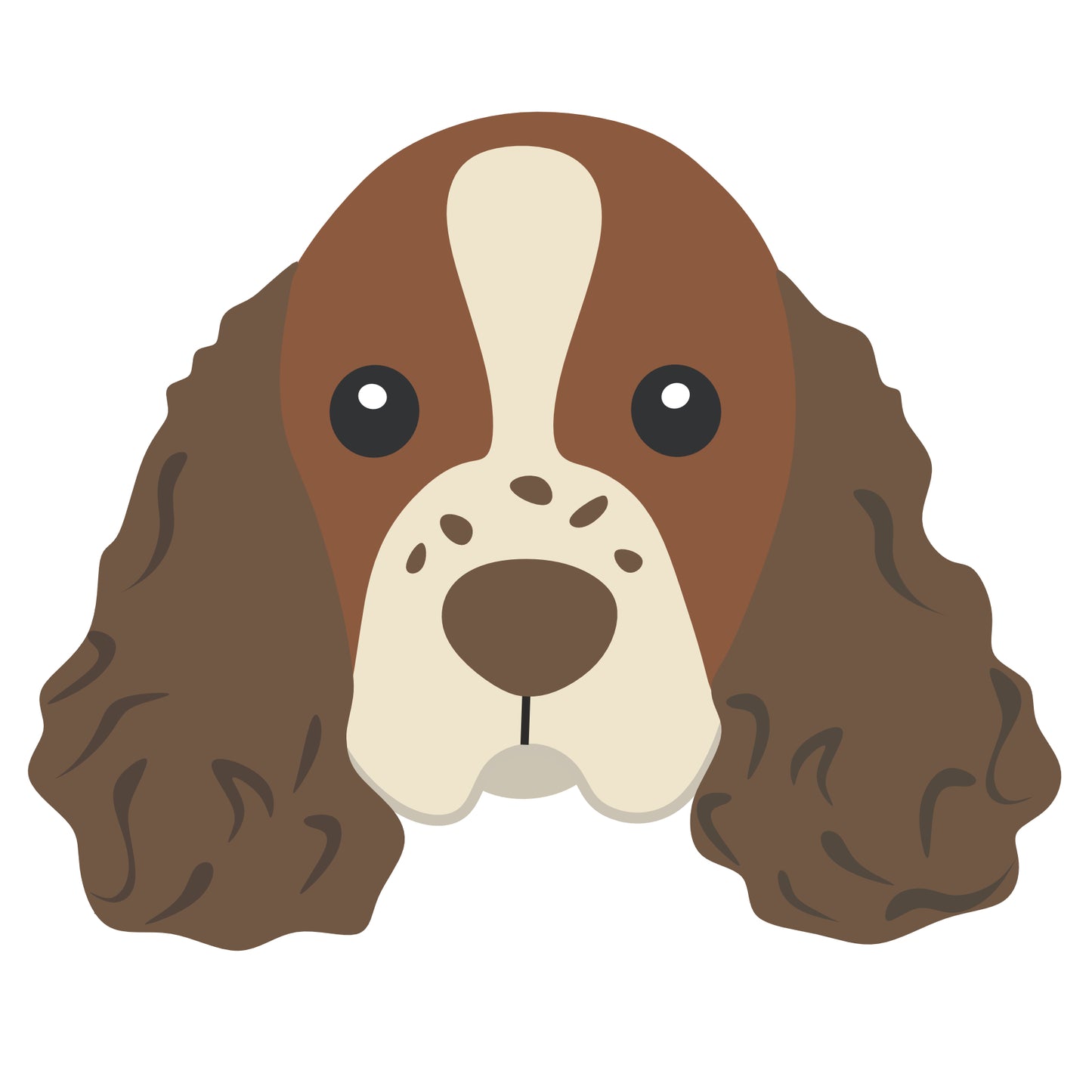 Basset Hound