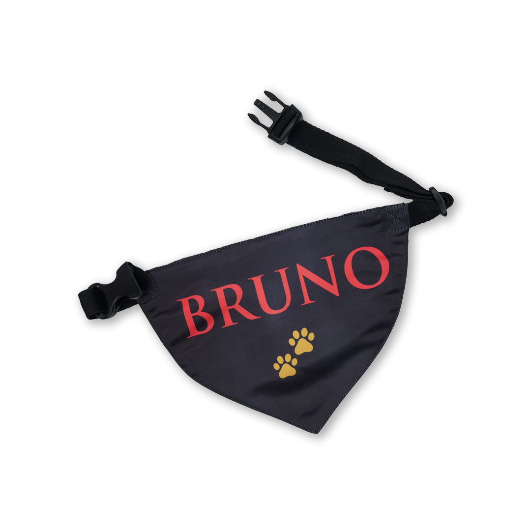 Custom Clip on Bandana