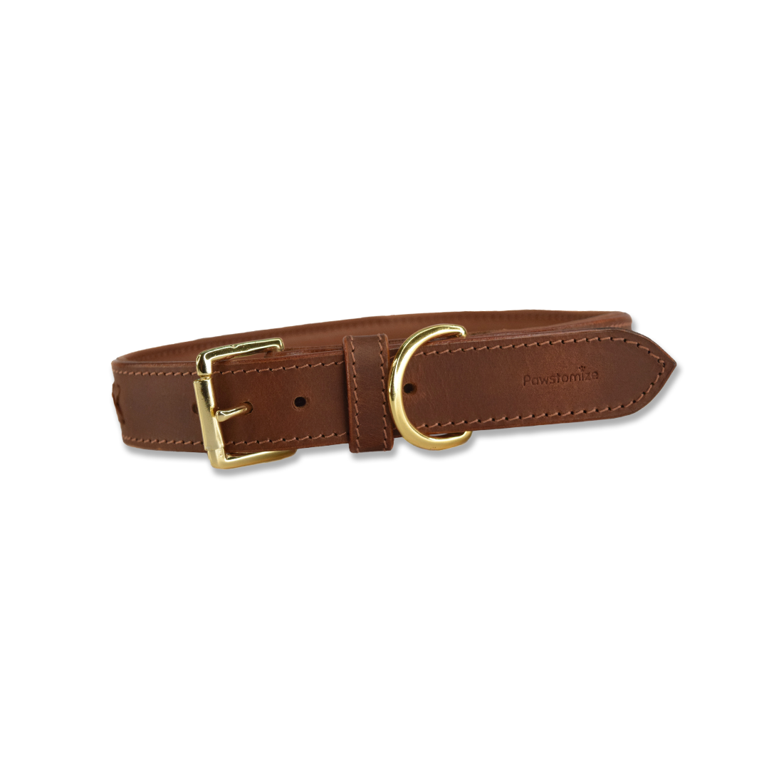 Custom Name Engraved Collar