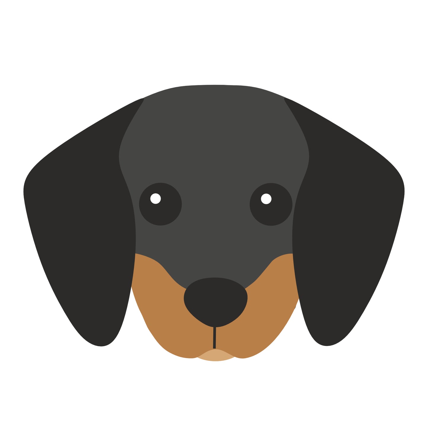 Dachshund