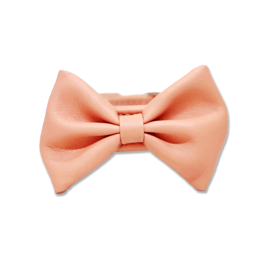 Pink Bow Collar