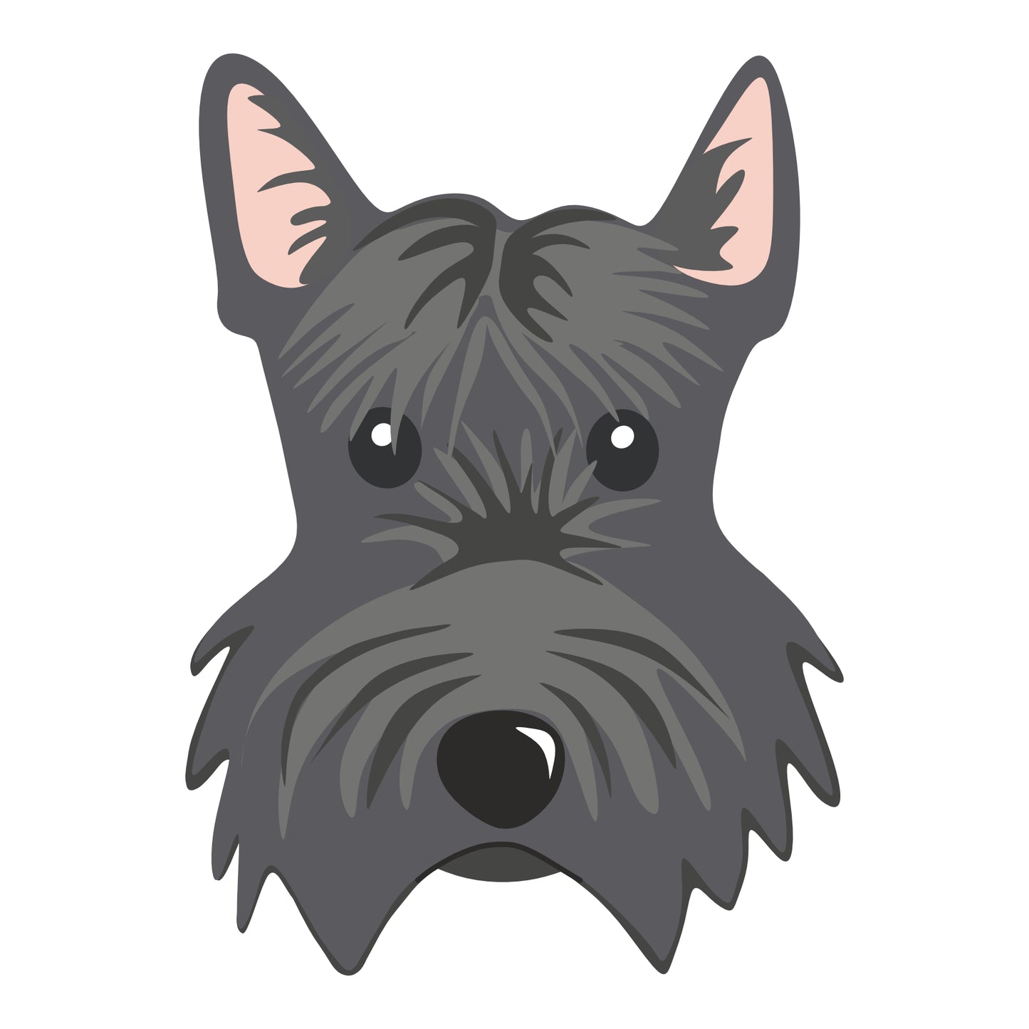 Scottish Terrier