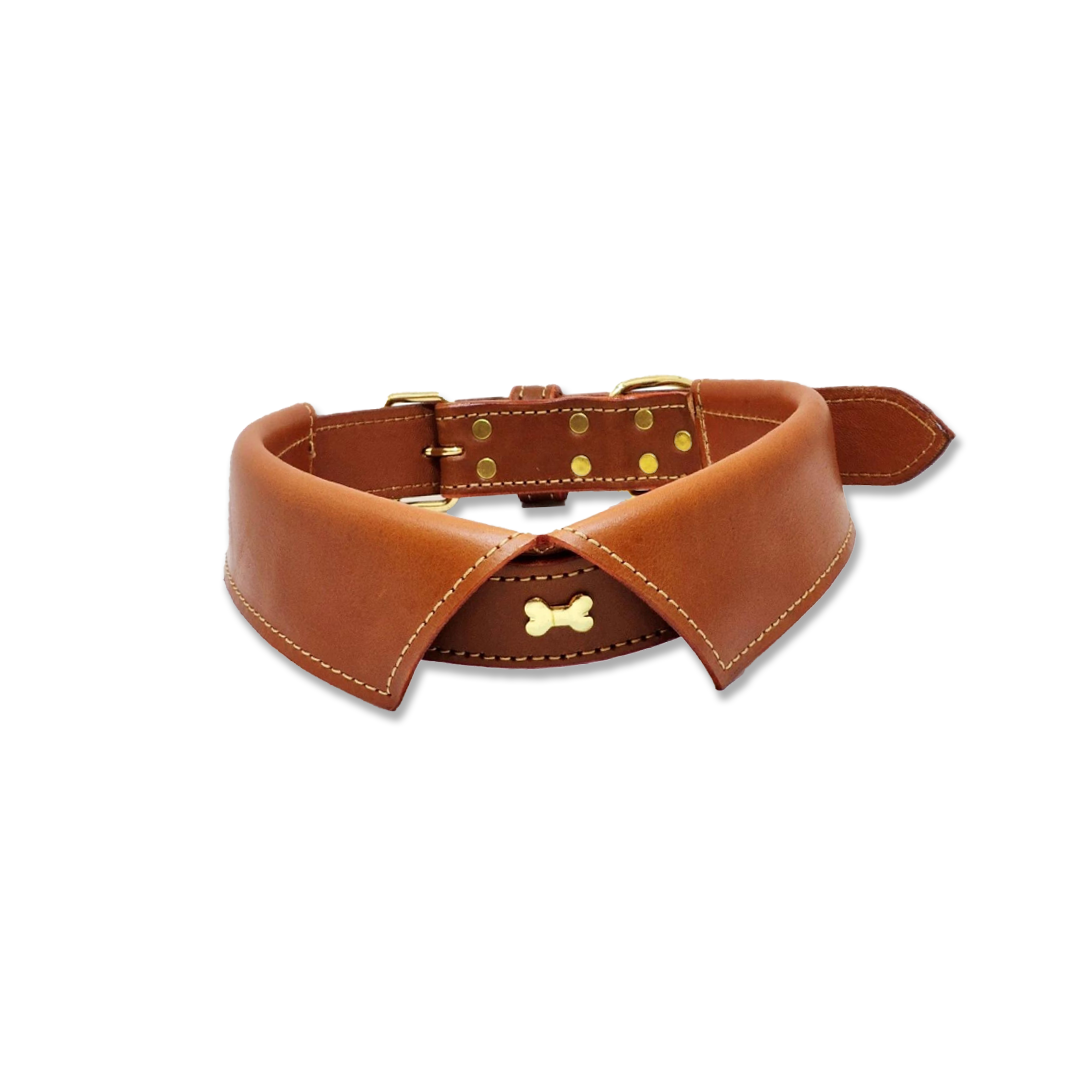 Suit Up Collar