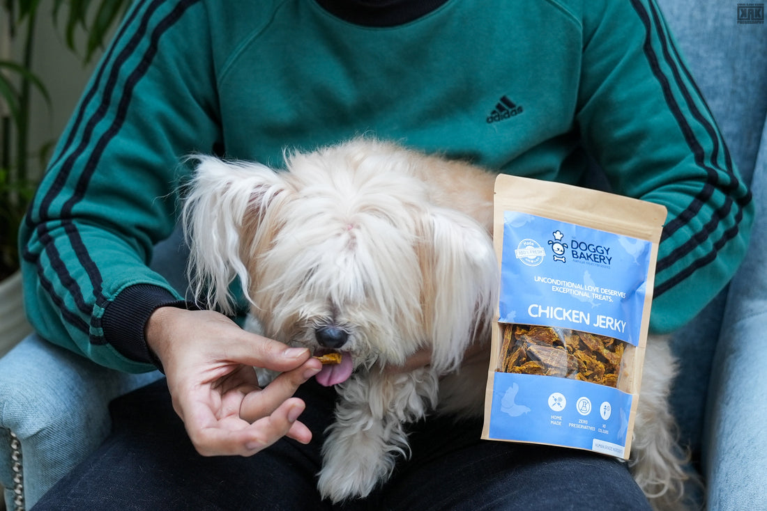 The Impact of Preservatives in Commercial Dog Treats