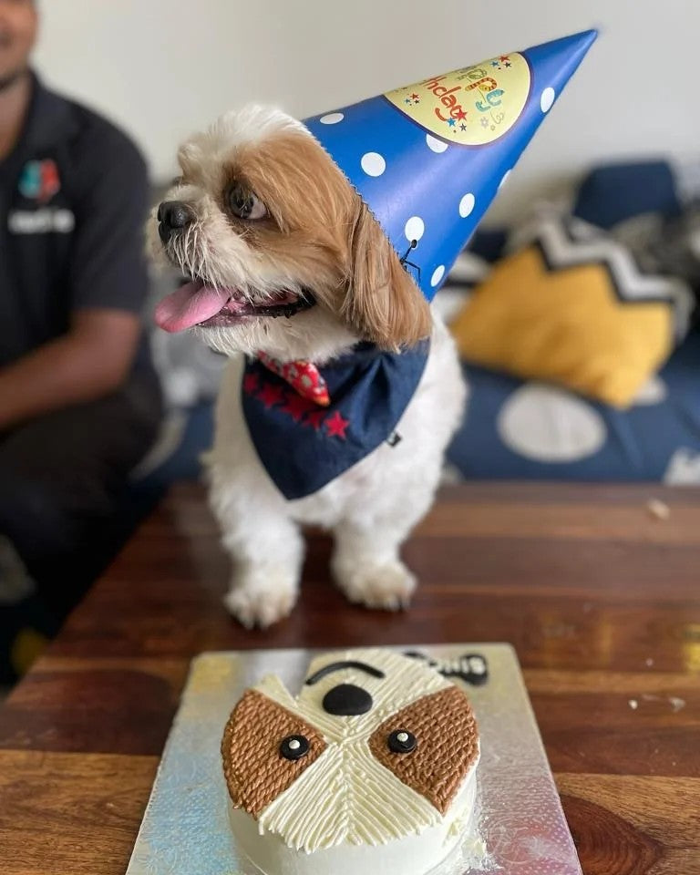 Crafting Memories: Customized Cakes for Your Beloved Pups