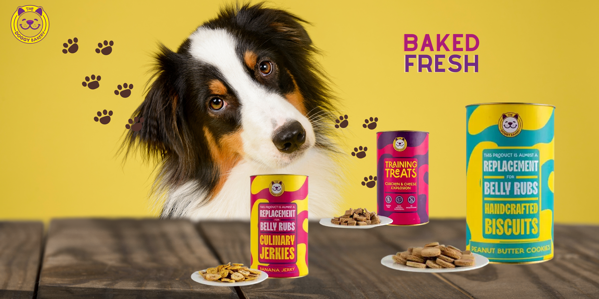 Image showcasing The Science Behind Dog Treat Ingredients: Nutritional Benefits for You ...