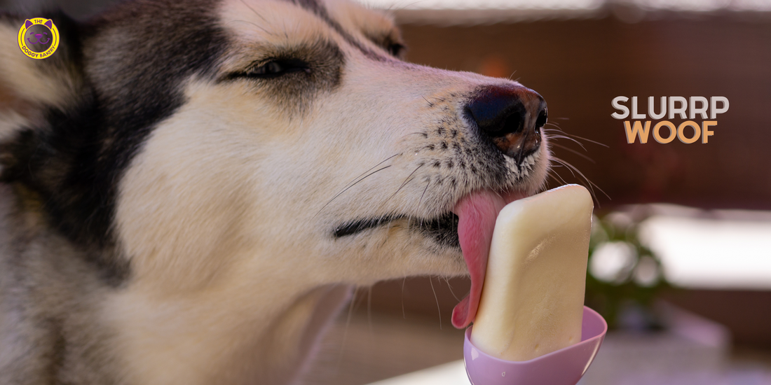 The Scoop on Yogurt: Why It's a Paw-sitively Good Treat for Dogs