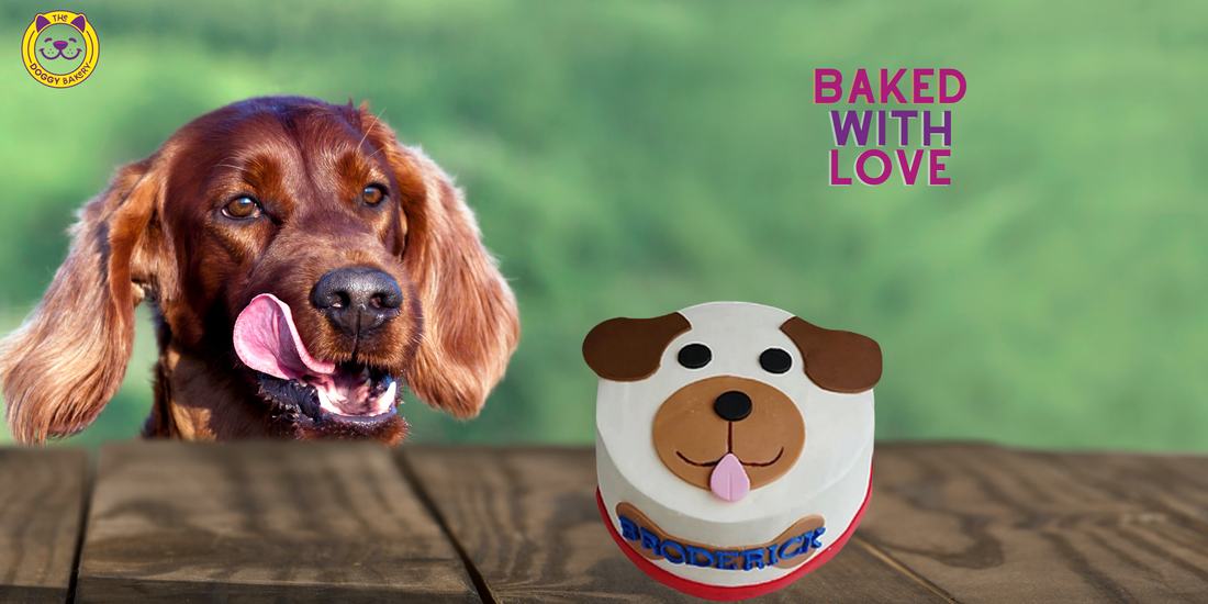 A Guide to Choosing the Perfect Birthday Cake for Your Dog