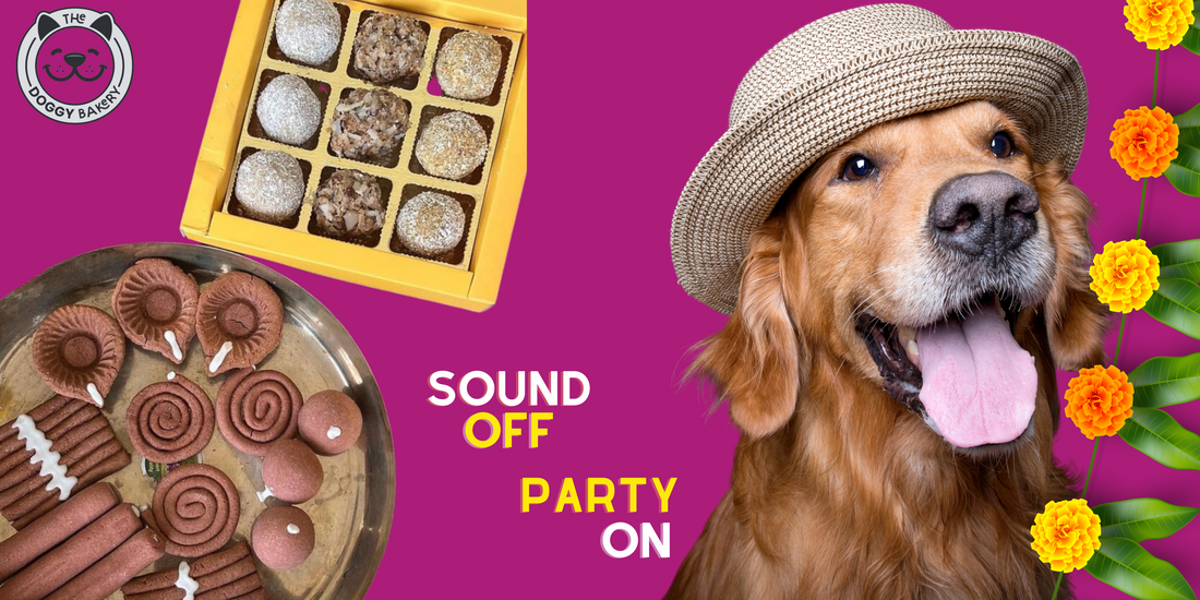 Sound Off Party on Diwali for Dogs: A Safe and Joyous Celebration