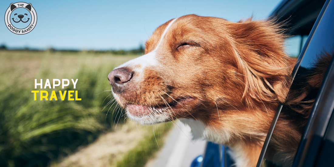Traveling with Your Dog: Treats for the Road