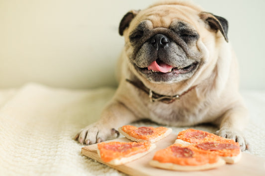 Paws for Pizza: The Ultimate Dog-Friendly Pizza