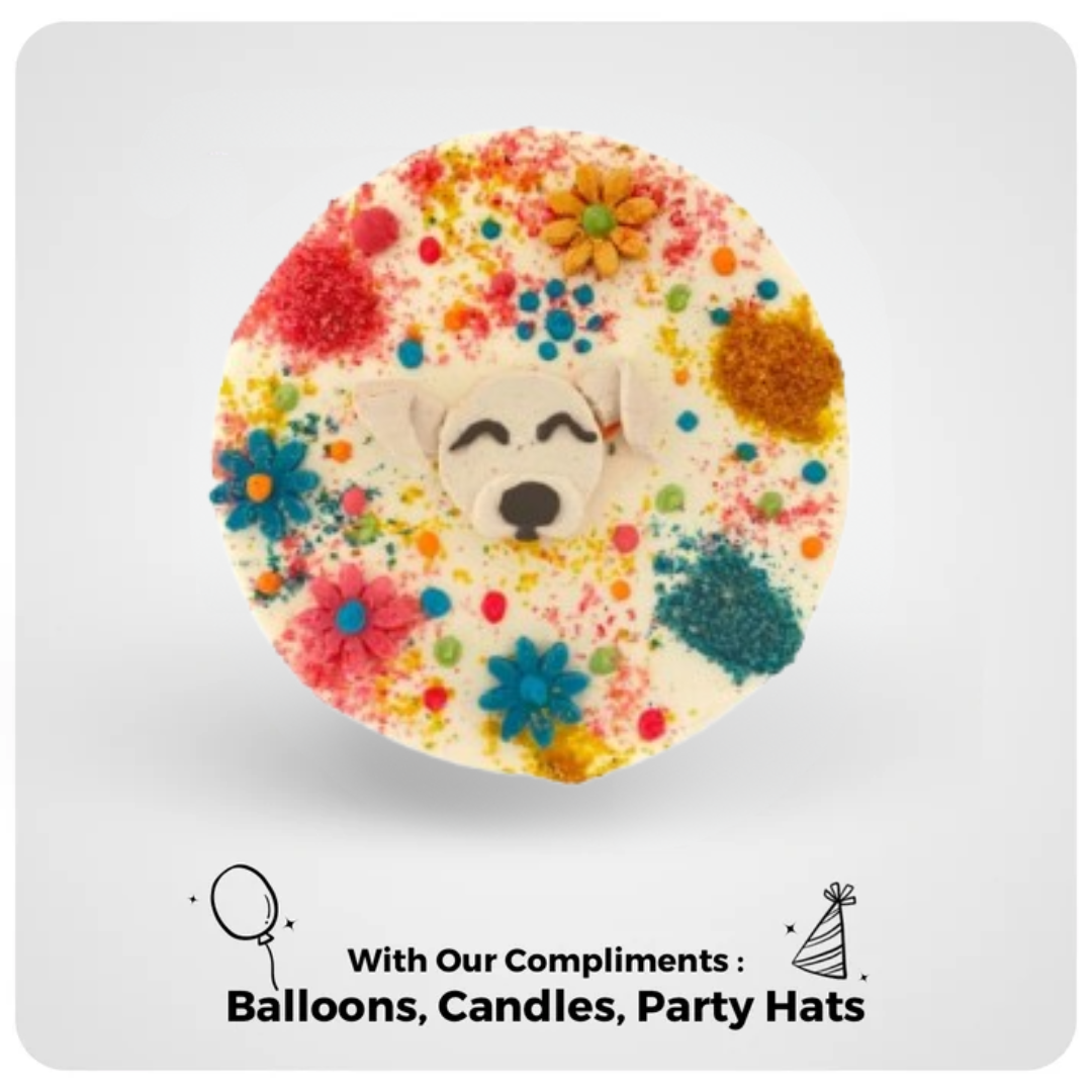 Festival of Colours Bowto Cake