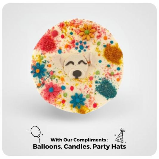 Festival of Colours Bowto Cake