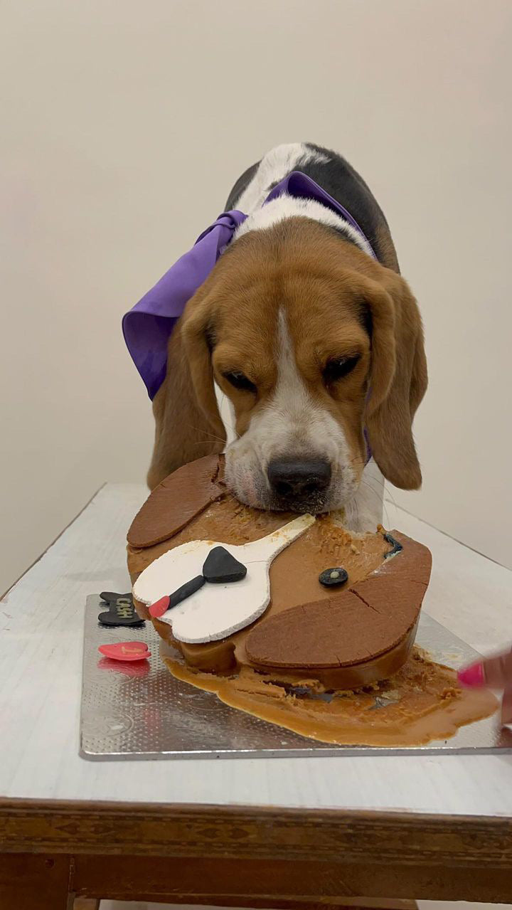Custom Beagle Dog Cake