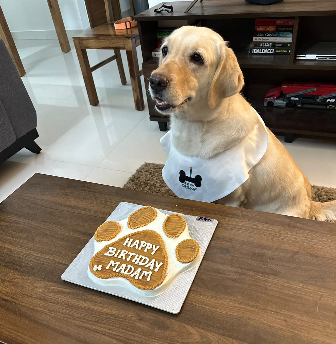 Dog Birthday Cake Hamper w/ Bandana