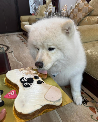 🐾 Bark Boney 🎂