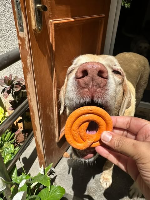 Jalebi Box (Cheddar & Oat)