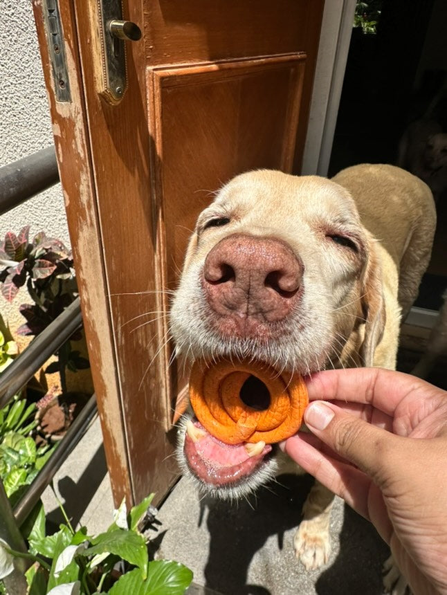 Jalebi Box (Cheddar & Oat)