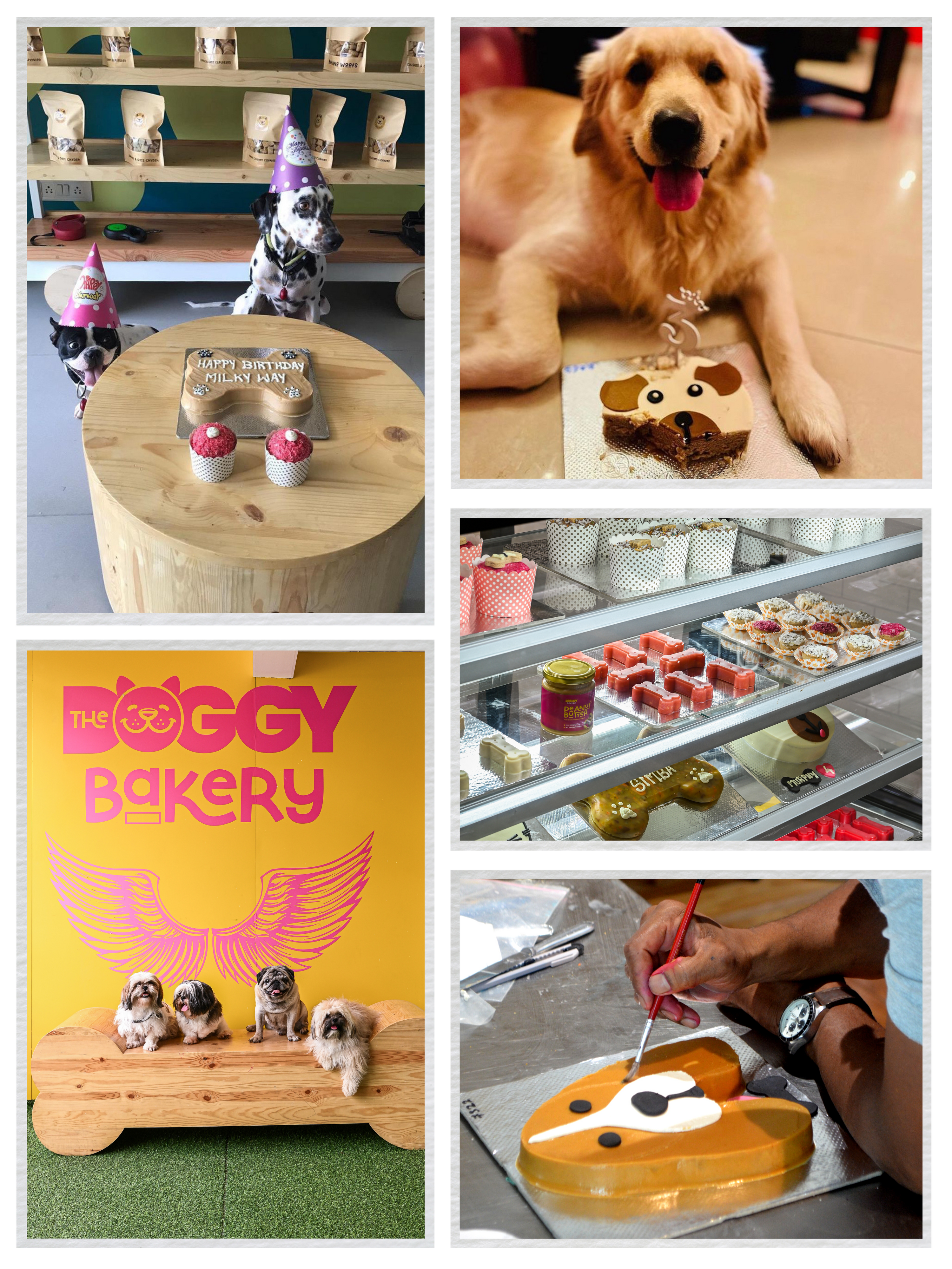 Collage of dogs enjoying treats. The collage features different breeds of dogs, all of whom are smiling and wagging their tails. Some of the dogs are licking their lips, while others are holding treats in their mouths. The collage is a celebration of dogs' love of food and their joy in life.