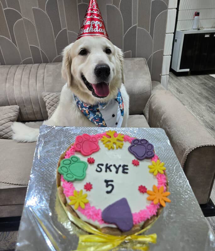 Garden Delight Cake 🌸🐾