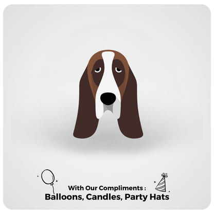 🐶 Basset Hound 🎂